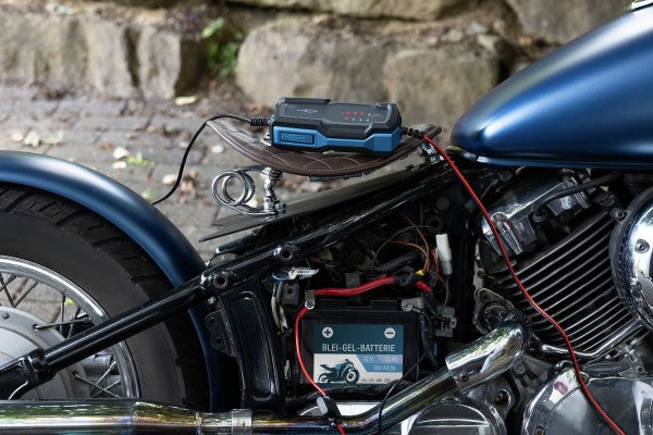 Ansmann BC 6-12V/2A 8-Stufen Kfz-Ladegerät für 6V und 12V Blei-Säure-, Blei-Gel- und Blei-Vlies-Batterien, sowie 12V LiFePO4 Batterien
