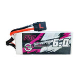 6000mAh / 8S / QS8