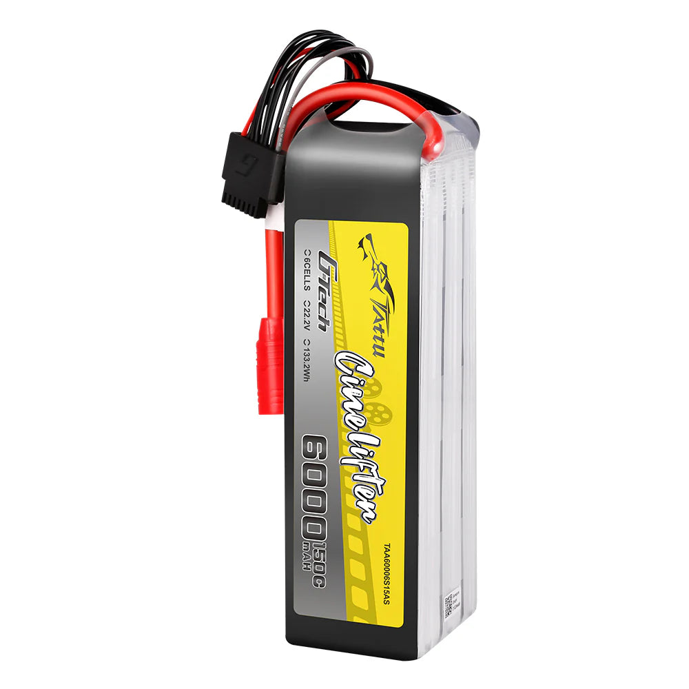 6000mAh / 6S / AS150
