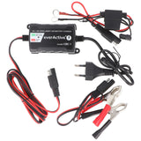 EverActive Ladegerät für 6 Volt und 12 Volt für Auto-, Motorrad-, Bleisäure-, PB, Gel, AGM Akku 2-24A