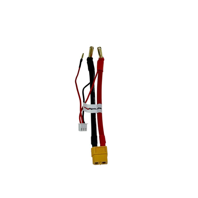 5mm Bullet (Bananenstecker) auf XT60 Buchse Hardcase 2S JST-XHR Balancerstecker
