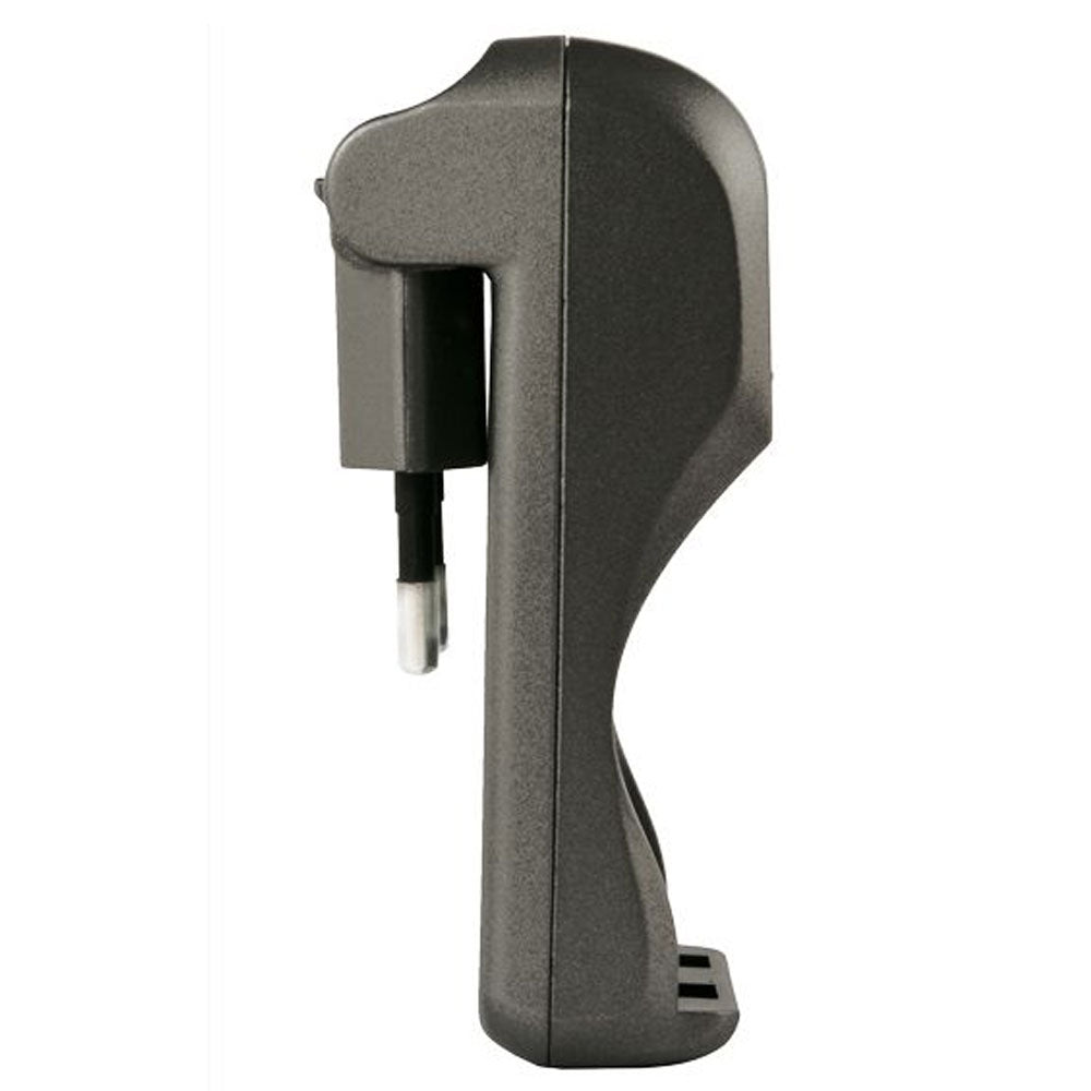 Camelion Stecker-Ladegerät BC-1001A inklusive 2 Stück NiMH Akkus Micro AAA, 800mAh