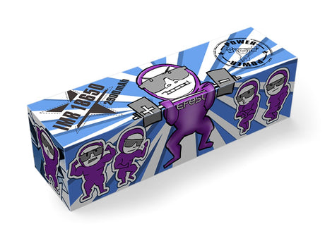 Efest Purple IMR 18650 2900mAh 3,6V - 3,7V min. 2820mAh typ. 2900MAh maximal 35A Stromabgabe (Flat Top) inkl. Akkuschutzbox