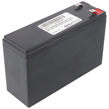 Kung Long WP1224W Hochstrom F2 Blei-Vlies-Akku, 12Volt, 6Ah mit 6,3mm Faston Anschluss