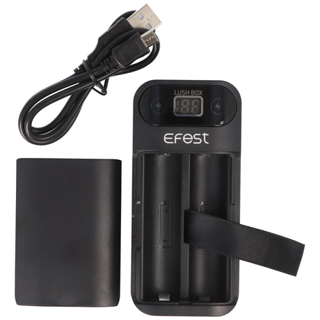 Efest 3in1 Powerbank & Ladegerät für 18650 Li-Ion Akkus – USB-Ausgang 2,1A