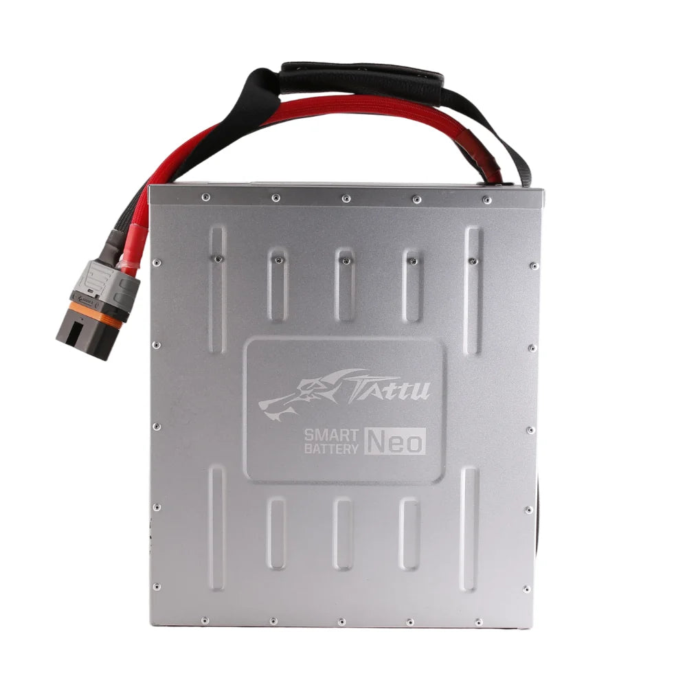 30000mAh / 24S / P80(6)-F (AmaSP80(6)-F)