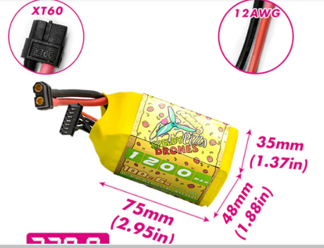CNHL Pizza Series 1200mAh 22,2V 6S 100C Lipo Akku mit XT60 Stecker (2 St.) - LiPo24.de